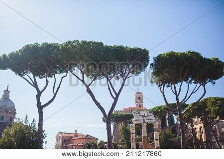 autumn Rome Colosseum Italy travel old tourism