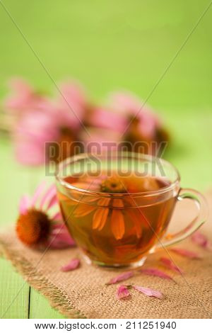 Cup of echinacea tea on green wooden table.