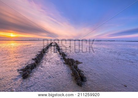 Tidal Marsh Land Reclamation
