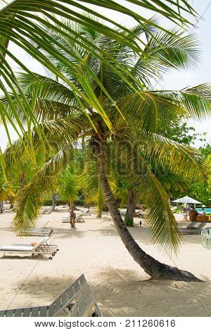 Antigua, Caribbean islands - May 20, 2017: English Harbour view with Galeon beach, sun beds and umbrellas
