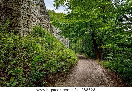 Green forest landscape. A gravel road near the walls of the ruins of the castle.