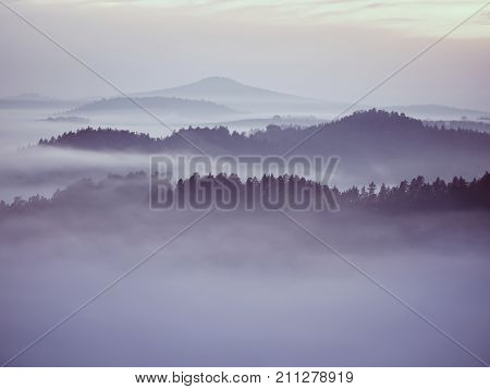 View Into Misty Valley. High Trees And Rocky Peaks Increased From Thick Fog.  The First Sun Rays