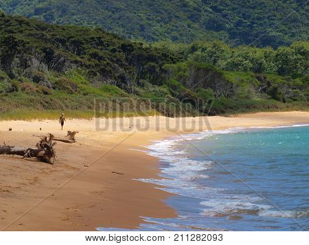 Secluded Beach In Abel Tasman National Park, New Zealand