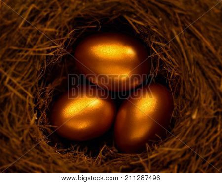 THREE GOLDEN EGGS TOGETHER IN BROWN NEST
