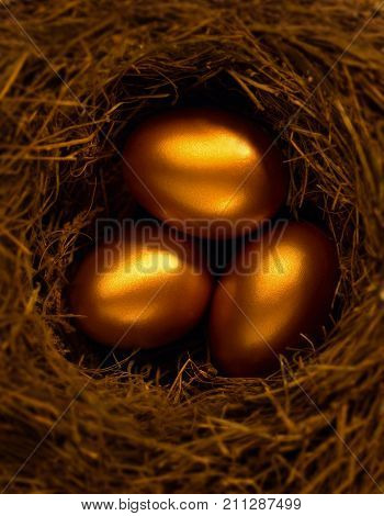 THREE GOLDEN EGGS TOGETHER IN BROWN NEST