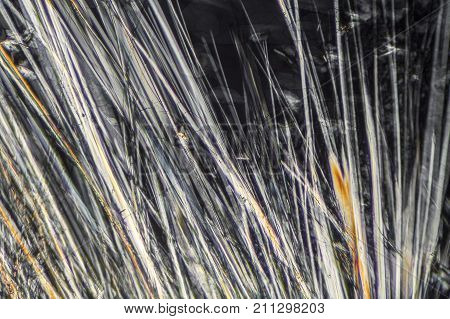 colorful microscopic shot of Sodium dodecyl sulfate microcrystals in polarized light