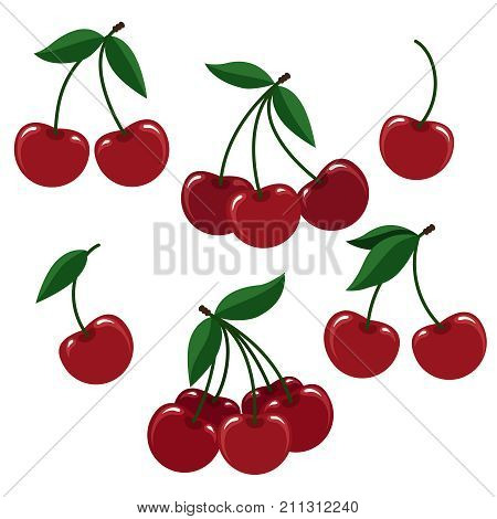 Cherry illustration. Vector cherries or fresh cherise berry set for logo isolated on white background