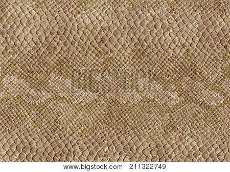 full frame scaled abstract brown patterned reptile skin surface