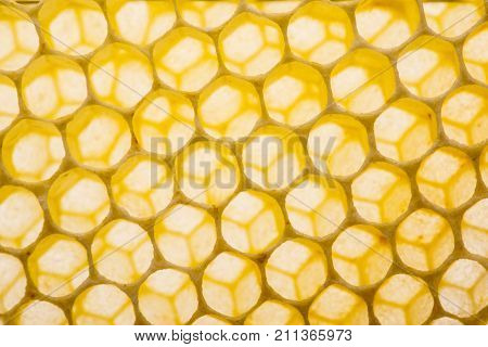 beecombs texture in the detail - a macro photo