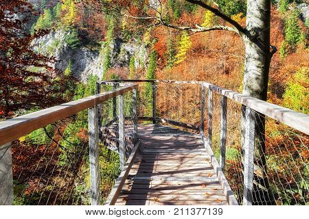 Empty lookout in autumn forest at valley Kvacianska dolina Slovakia