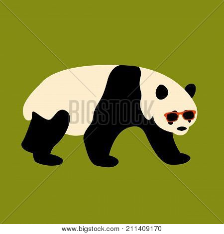 panda face in glasses vector illustration style flat front