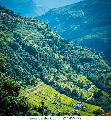 Beautiful bright landscape with green mountain field of rice in nepal