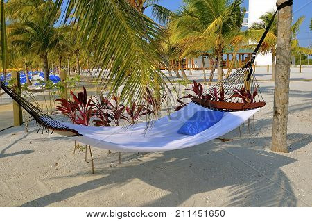 A hammock is stung between palm trees at a tropical beach resort.