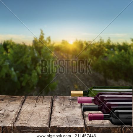 Row wine bottles bar red group objects