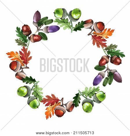 Forest acorn wreath in a hand drawn watercolor style. Aquarelle acorn for background, texture, wrapper pattern, frame or border.