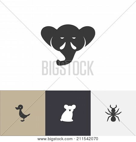 Set Of 4 Editable Zoology Icons. Includes Symbols Such As Bedbug, Proboscis, Quack And More