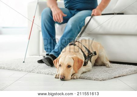 Blind man with guide dog sitting on sofa at home
