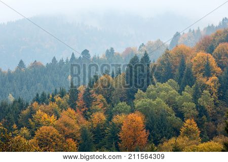 Autumn Carpathians (ukraine).