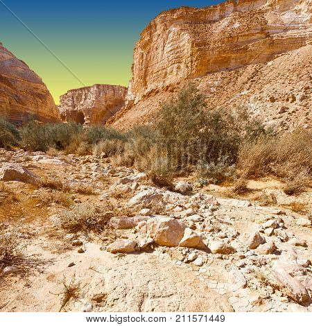 Canyon En Avedat of the Negev Desert in Israel at Sunset