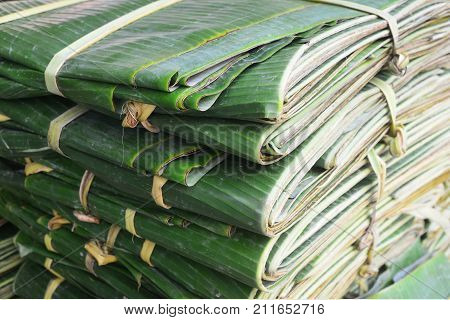 Stack of banana leaf for sell in pak khlong talat