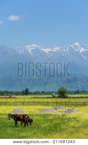 Summer landscape with mountains in Azerbaijan