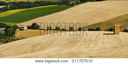 Rural landscape along the road from Filottrano to Appignano (Ancona Marches Italy) at summer.