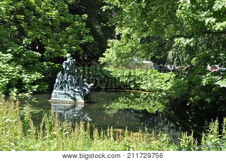 Amazing mixture of green trees findin their way in and around a pond.