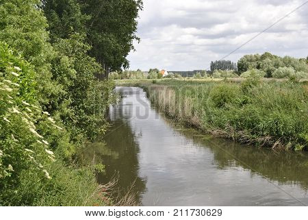 Up the creek, a beautiful site of nature