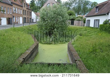 Green pond in the middle of city centre at Damme