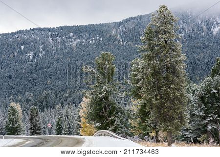 Federal highway M-52 Chuysky tract, asphalted road with markings among the autumn trees covered with snow. Russia, the Altai Republic.