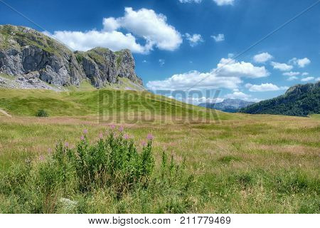green meadow in Lukavica Plateau, Montenegro