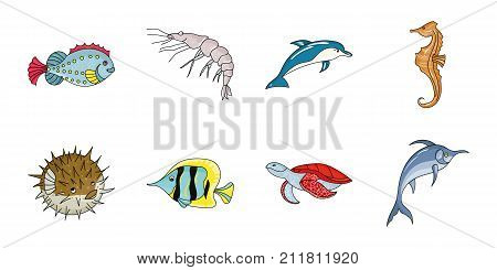 A variety of marine animals icons in set collection for design. Fish and shellfish vector symbol stock  illustration.