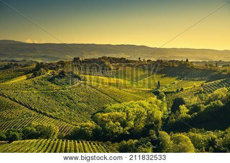 Panoramic view of countryside and chianti vernaccia vineyards from San Gimignano on sunrise. Tuscany Italy Europe.