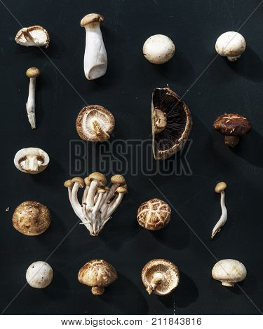 Aerial view of various mushroom collection of black background
