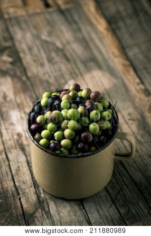 closeup of a handled enamelware pot full of arbequina olives from Catalonia, Spain, on a wooden rustic table