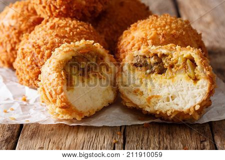 Japanese Bread Curry Kare-pan In Breadcrumbs Macro. Horizontal