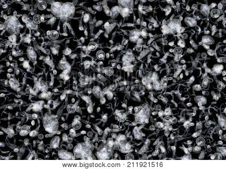 micrography showing lots of various translucent freshwater microorganisms in dark back