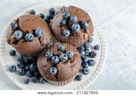 Three homemade chocolate muffins with fresh blueberries on a white plate horizontal image top view