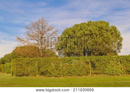 Parque Rodo Park, Montevideo, Uruguay