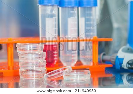 Laboratory Materials In A In A Safety Laminar Air Flow Cabinet At Laboratory