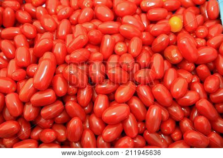 Fresh organic Cherry Tomatoes on Farmers Market in Pollensa. Majorca