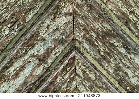 Weathered wood with patina in detail as a background