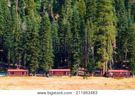 Rustic cabins surrounded by a pine forest taken in Mt Lassen National Park, CA