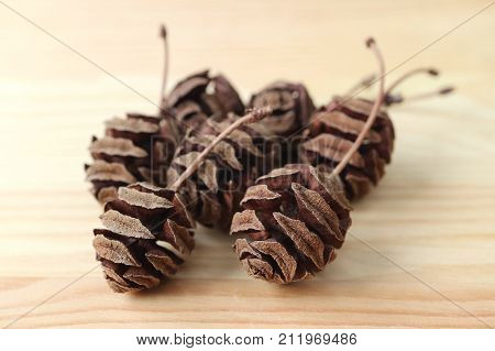 Many natural dry tiny pine cones on light brown wooden table, selective focus and blurred background