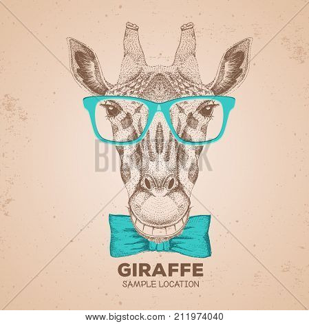 Retro Hipster animal giraffe. Hand drawing Muzzle of giraffe
