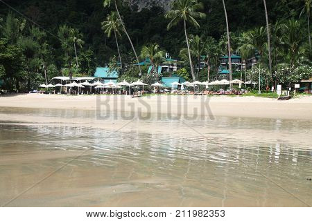 Relax on reflected beach, sun beds and palms