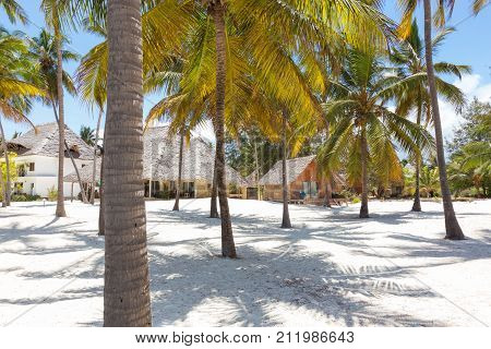 Bungalow on perfect white sandy beach with palm trees, Paje, Zanzibar, Tanzania