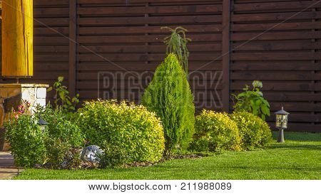 Rockery with big stones and different plants in the garden.