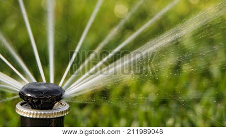 A rotating sprinkler spraying a water into the backyard.