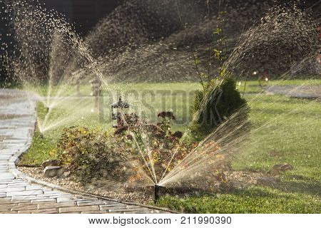 A rotating sprinkler spraying a water into the backyard.